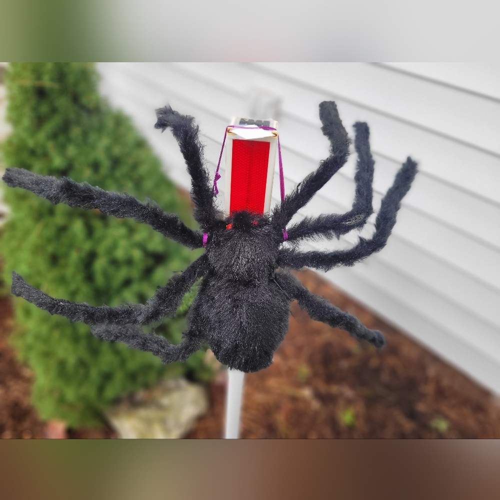 Gigantic Spider & Little Friend